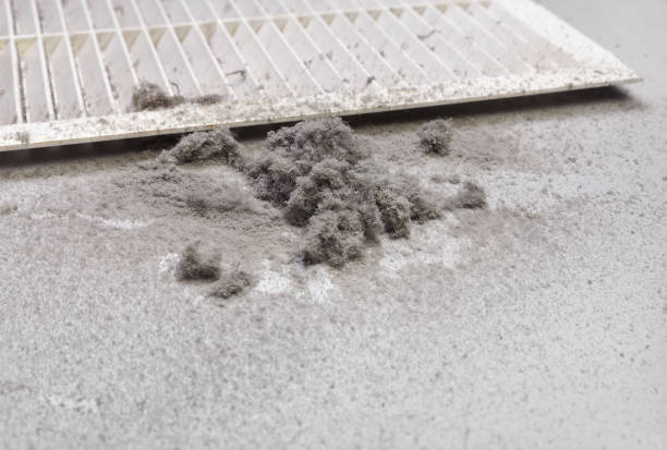 Best General Air Duct Cleaning  in Rapid City, MI