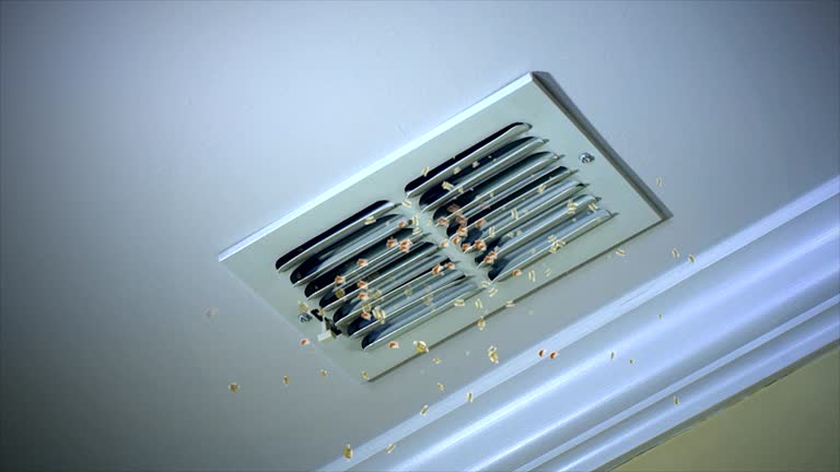 Best Air Duct Sanitizing Services  in Rapid City, MI