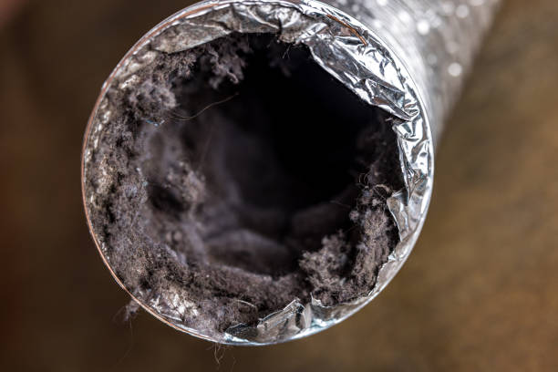 Best Air Duct Cleaning Near Me  in Rapid City, MI