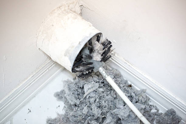 Best Emergency Air Duct Cleaning  in Rapid City, MI