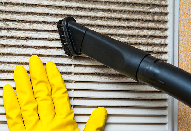 Best Ventilation Cleaning Services  in Rapid City, MI