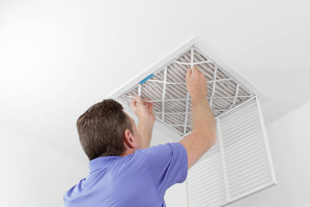 Air Duct Mold Removal in Rapid City, MI